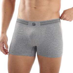 Cueca Boxer Sem Costura Mescla