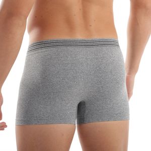 Cueca Boxer Sem Costura Mescla