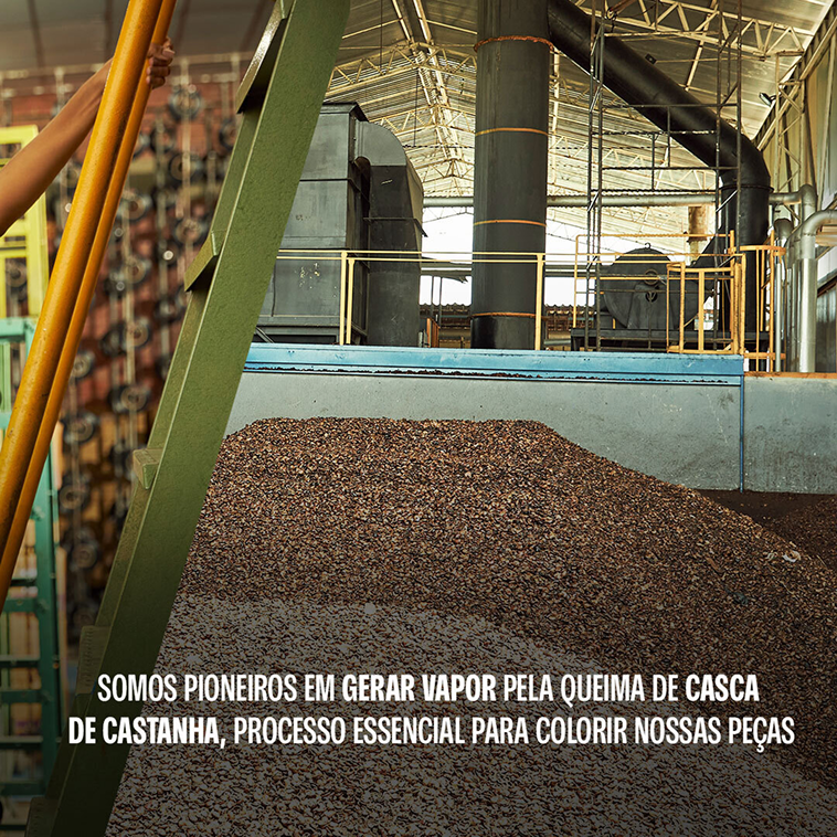 image educacao